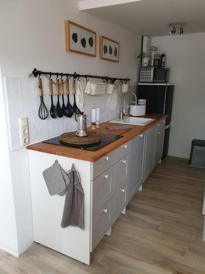Ferienwohnung Lindenhof, Zentrumsnah Mit Terrasse Und Grillmoeglichkeit Magdeburg Dış mekan fotoğraf